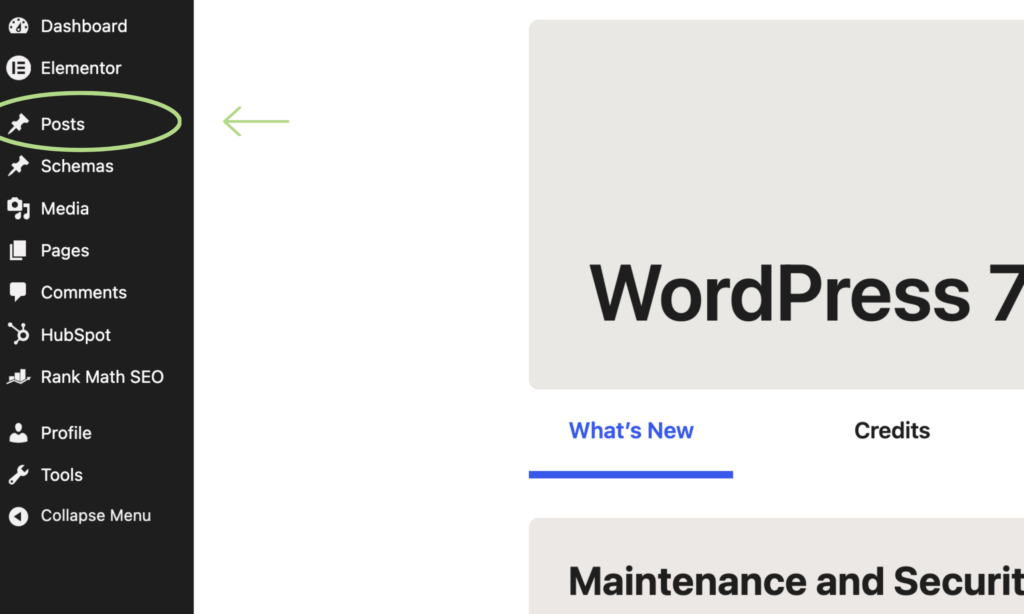 Screenshot of WordPress Backend - Posts Tab
